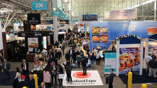 Giá cá tra tiếp tục tăng sau phản ứng từ hội chợ Boston